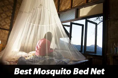 Best Anti Mosquito Bed Net Review