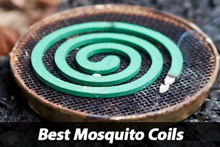 Best Mosquito Coils Review