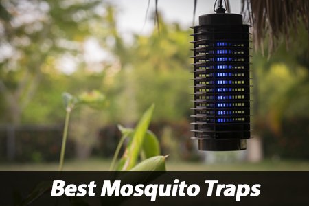 Best Mosquito Trap Review Flowtron