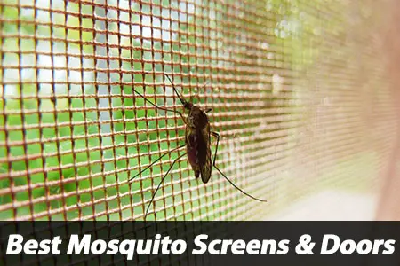 Best Mosquito Window Screen Door Stopper Review