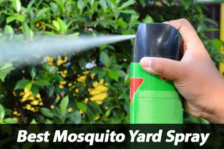 Best Mosquito Yard Spray Choice