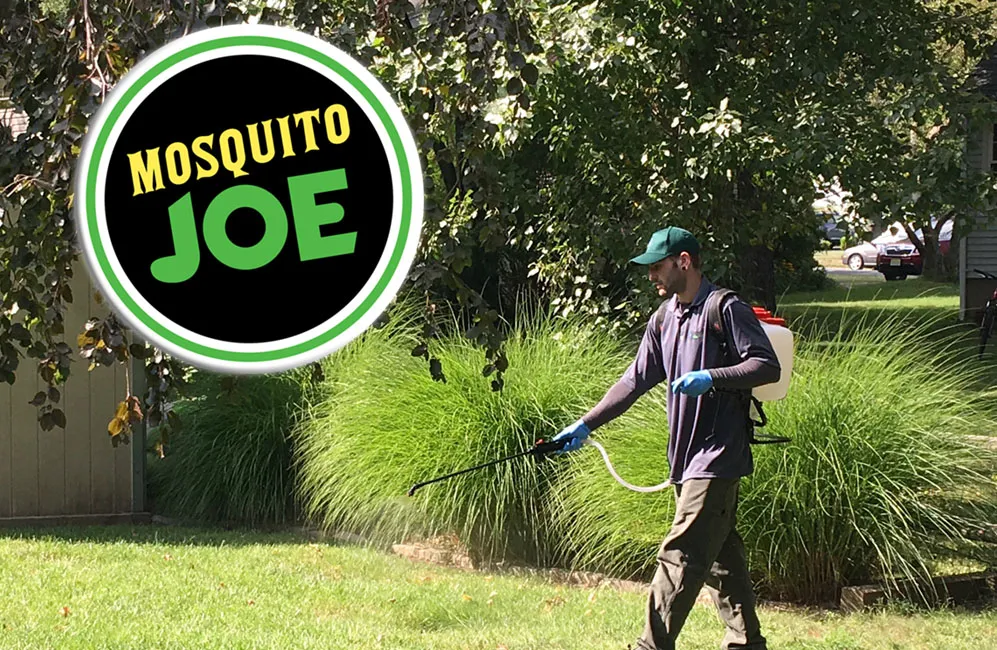 Mosquito Joe Locations Cost Reviews