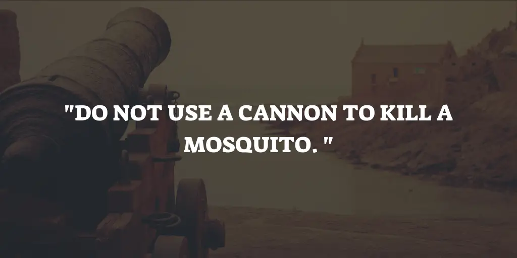 Mosquito Proverb