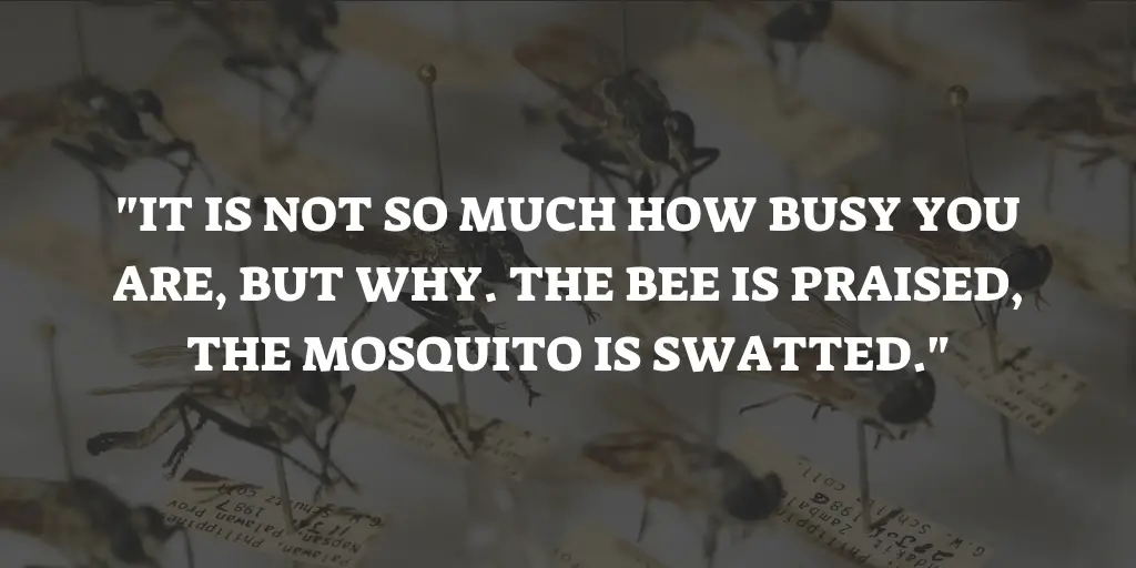 Mosquito Quotes Sayings