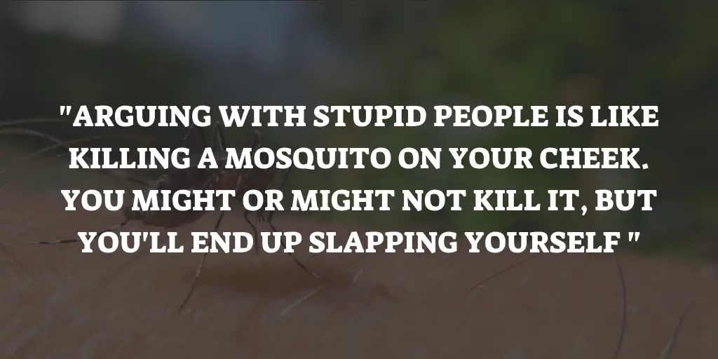 Mosquito Saying